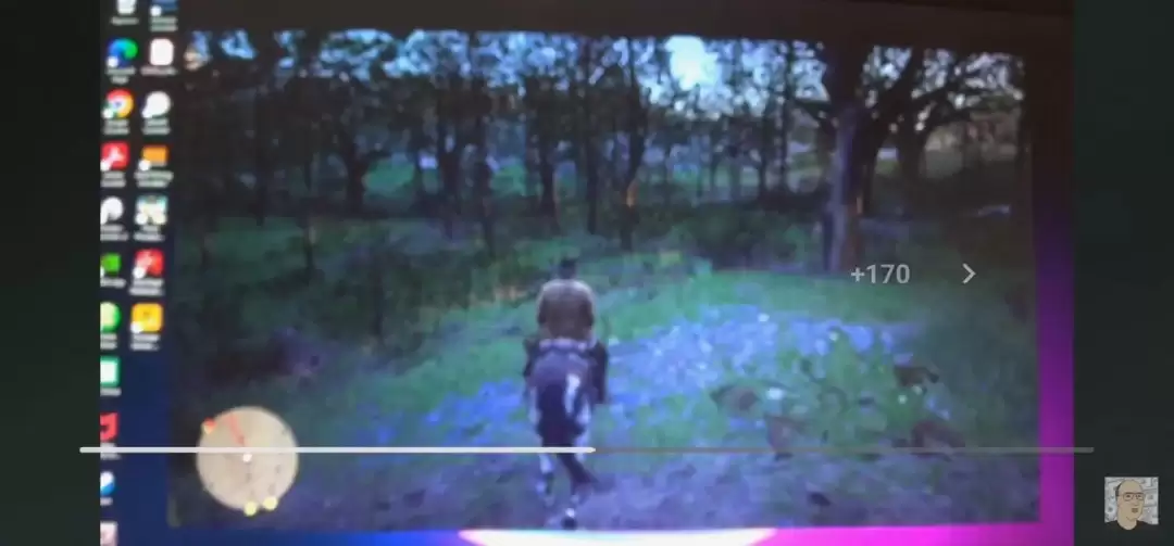 玩家每天以4帧游玩《荒野大镖客2》 在网上走红