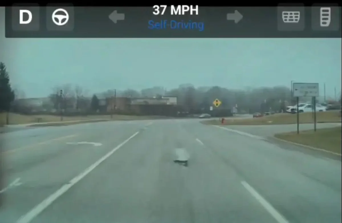 特斯拉 FSD v14.3 推送:反应速度提升 20%、全球车队协同学习