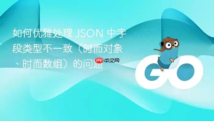 如何优雅处理 JSON 中字段类型不一致（时而对象、时而数组）的问题