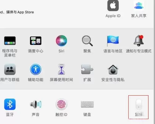 mac鼠标主按钮怎么更改? Mac设置鼠标主按钮的技巧