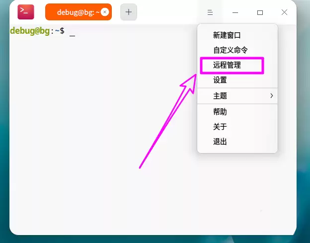 deepin20终端远程管理服务器的方法