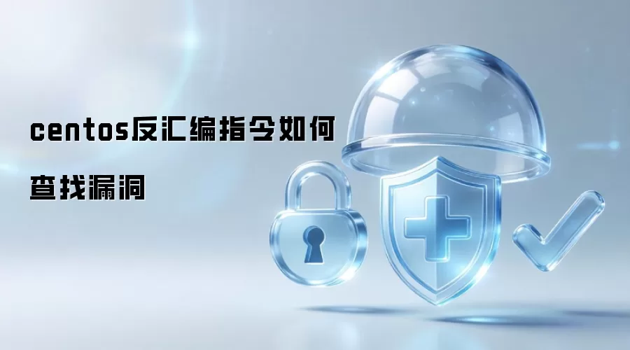 centos反汇编指令如何查找漏洞