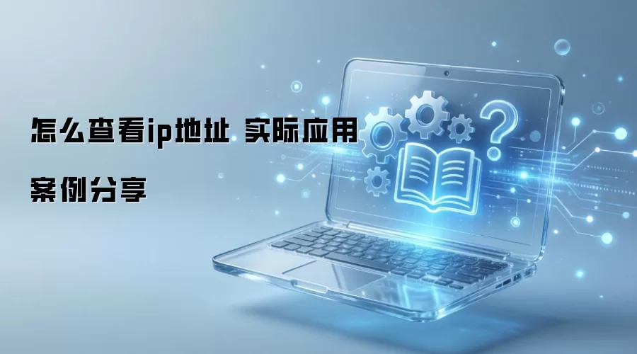 怎么查看ip地址 实际应用案例分享