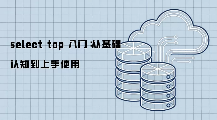 select top 入门：从基础认知到上手使用