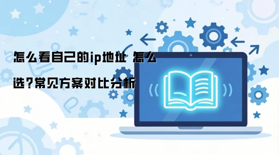 怎么看自己的ip地址 怎么选？常见方案对比分析