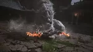 明末渊虚之羽离火爆燃流构筑怎么分享