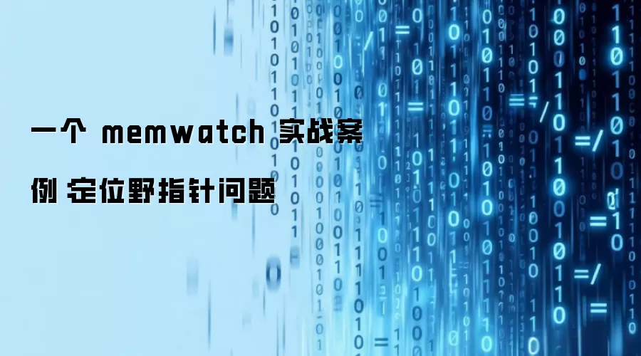 一个 memwatch 实战案例：定位野指针问题