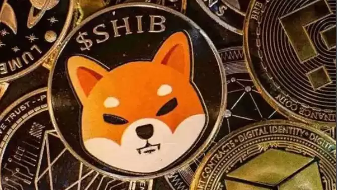 SHIB币价格预测：燃烧机制能否助其再创千倍神话？ - php中文网