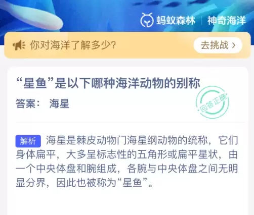 星鱼是以下哪种海洋动物的别称