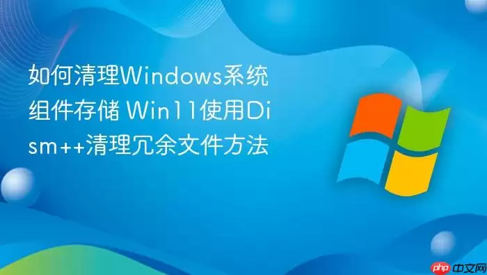 如何清理windows系统组件存储 win11使用dism++清理冗余文件方法