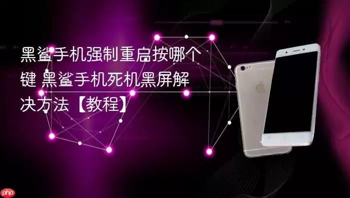 黑鲨手机强制重启按哪个键 黑鲨手机死机黑屏解决方法【教程】