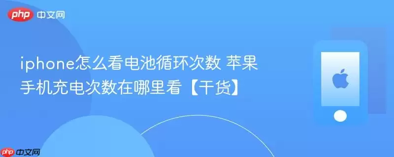 iphone怎么看电池循环次数 苹果手机充电次数在哪里看【干货】
