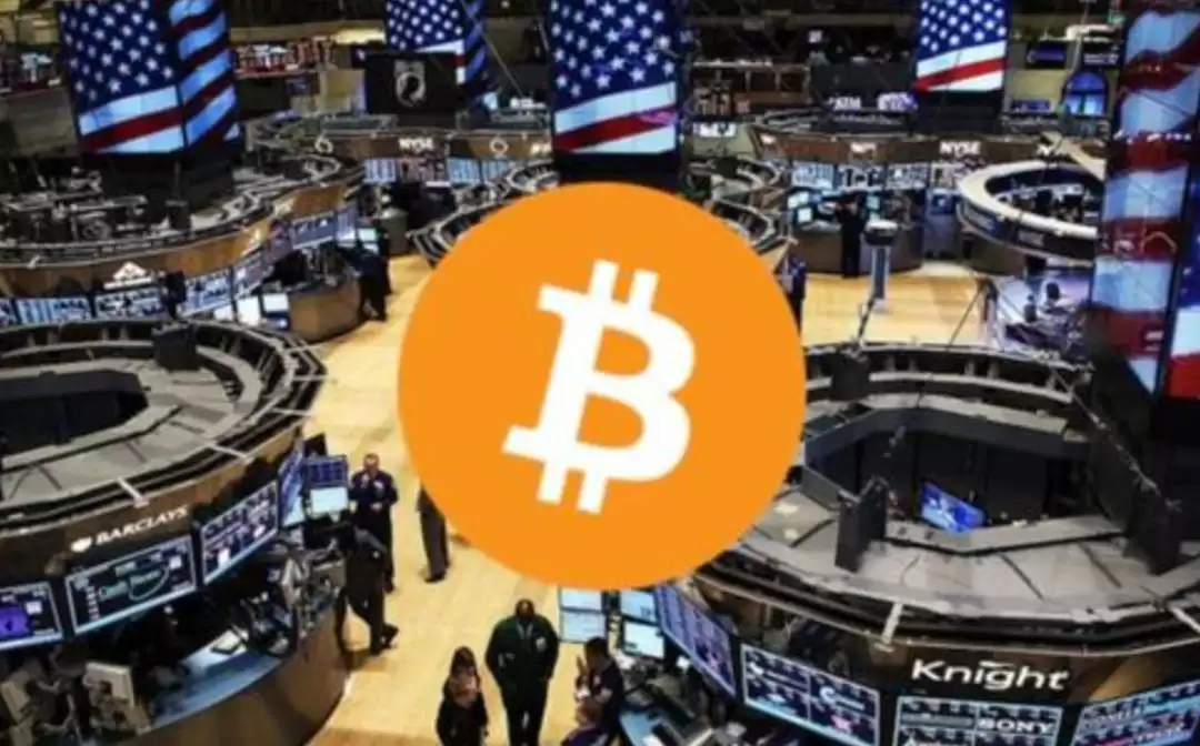 狗狗币与柴犬币区别对比分析