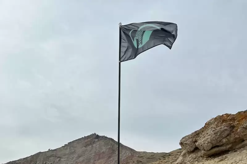 加密货币对冲基金有哪些品种