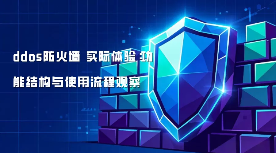 ddos防火墙 实际体验：功能结构与使用流程观察