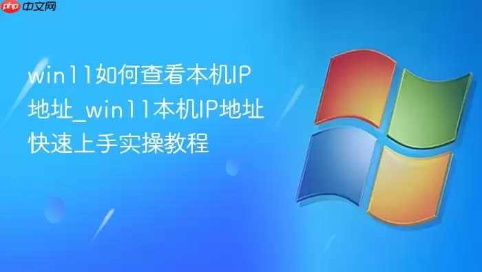 win11如何查看本机ip地址_win11本机ip地址快速上手实操教程