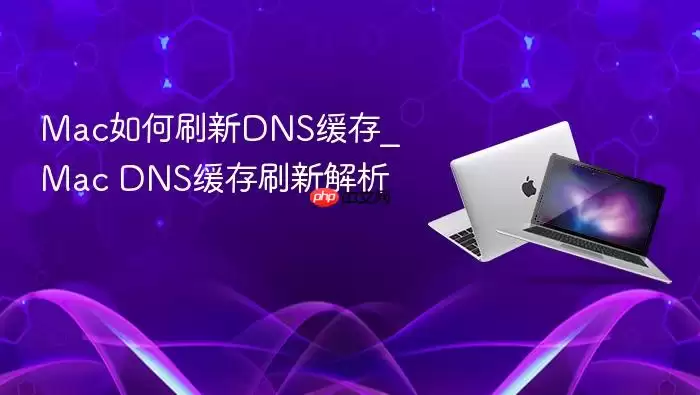 mac如何刷新dns缓存_mac dns缓存刷新解析