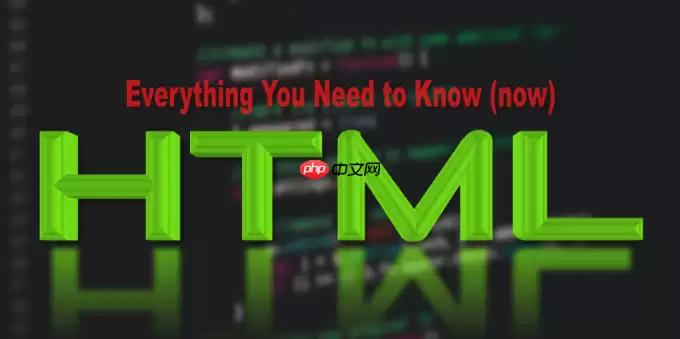 HTML规范在哪查_MDN与W3C文档使用【方法】