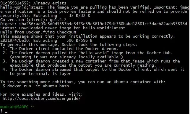 在Windows系统上安装Docker的教程