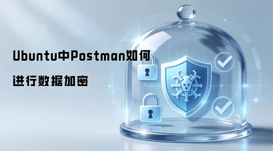 Ubuntu中Postman如何进行数据加密