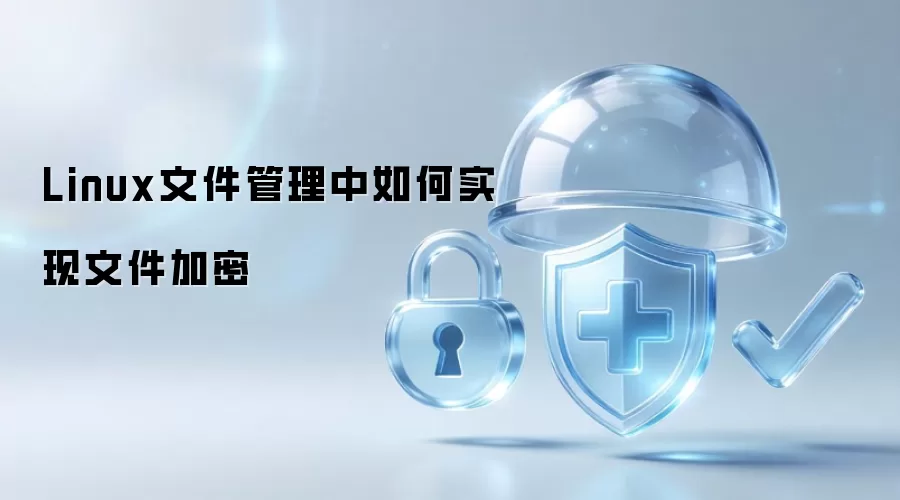 Linux文件管理中如何实现文件加密