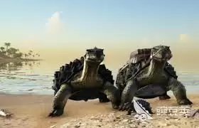 方舟生存进化手游碳龟蛋饲料怎么做