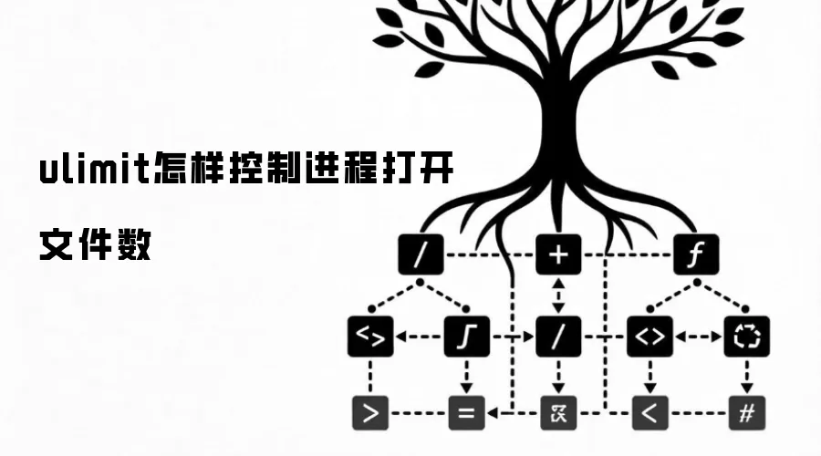 ulimit怎样控制进程打开文件数