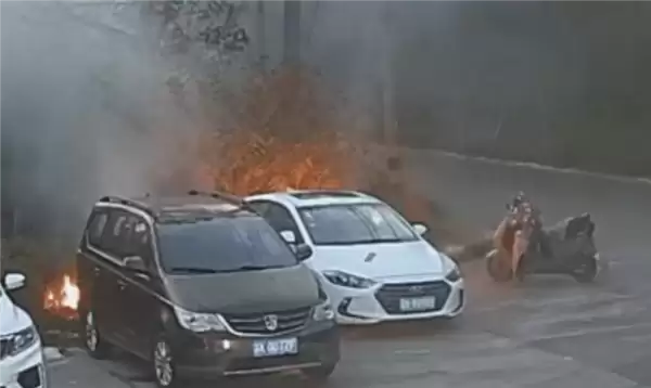 一男子手欠点燃柳絮：火势迅间失控引燃路边轿车 已被依法处理