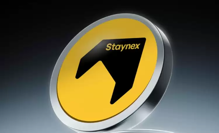 Staynex(STAY)币全面介绍