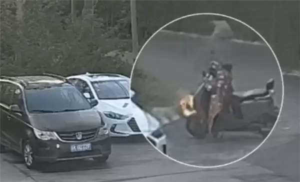 一男子手欠点燃柳絮：火势迅间失控引燃路边轿车 已被依法处理