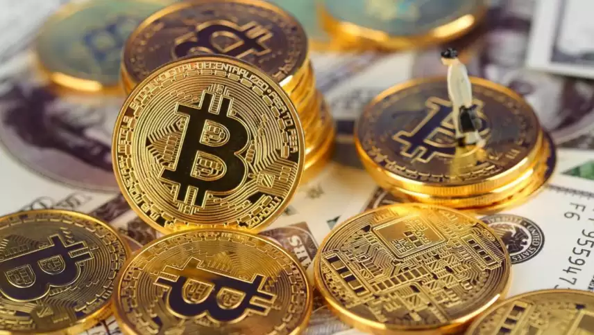 加密货币领域的“黑话”大全：小白秒变老韭菜 - php中文网