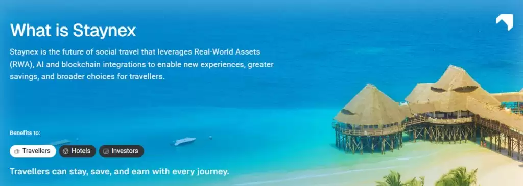 Staynex(STAY)币全面介绍