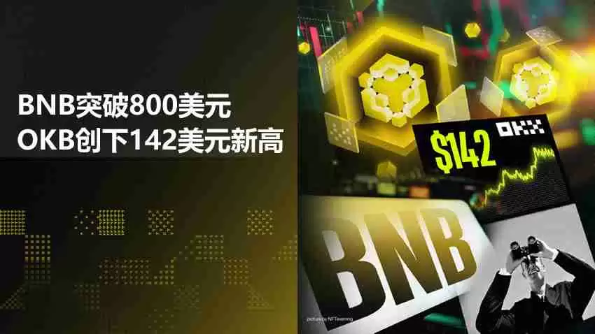CEX代币突破：BNB突破800美元，OKB创下142美元新高