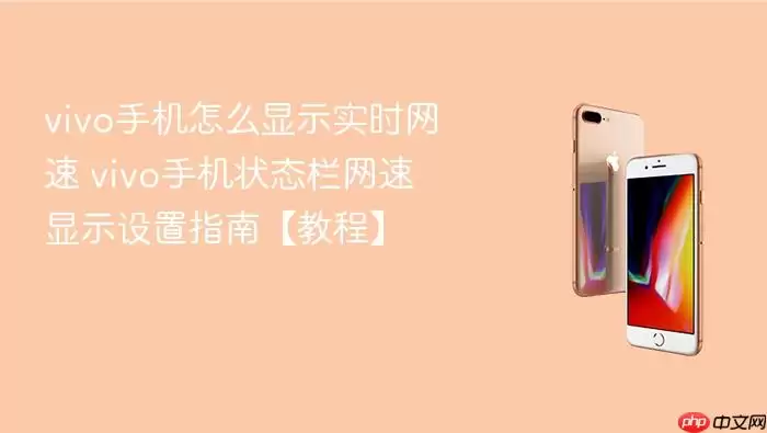 vivo手机怎么显示实时网速 vivo手机状态栏网速显示设置指南【教程】