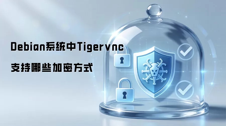 Debian系统中Tigervnc支持哪些加密方式