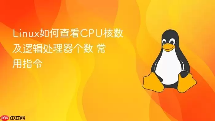 linux如何查看cpu核数及逻辑处理器个数 常用指令