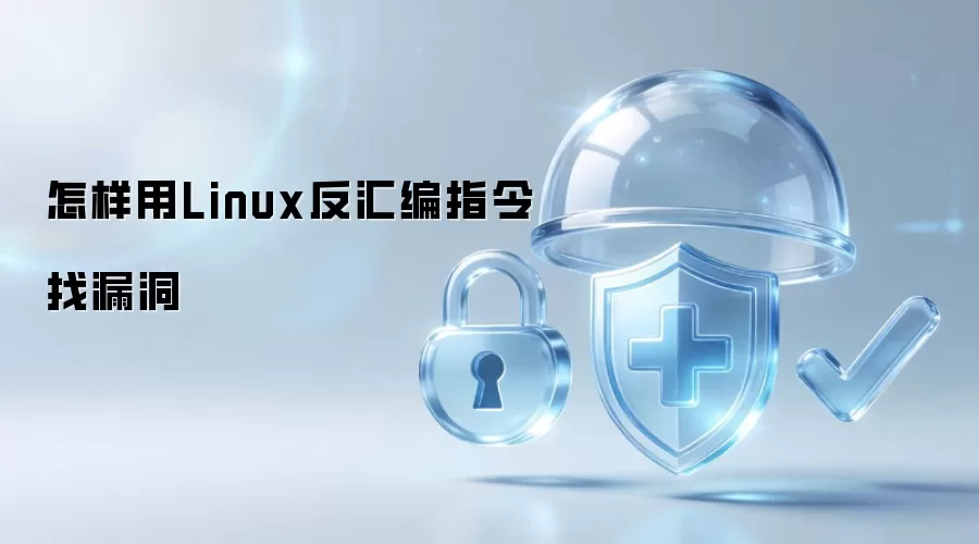 怎样用Linux反汇编指令找漏洞