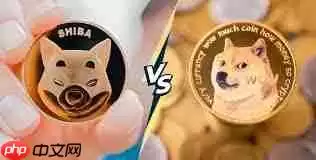 柴犬币和狗狗币哪个更具优势