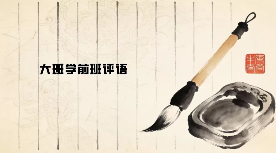 大班学前班评语