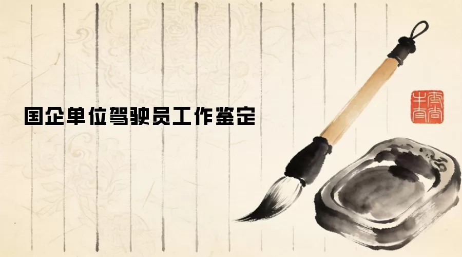 国企单位驾驶员工作鉴定