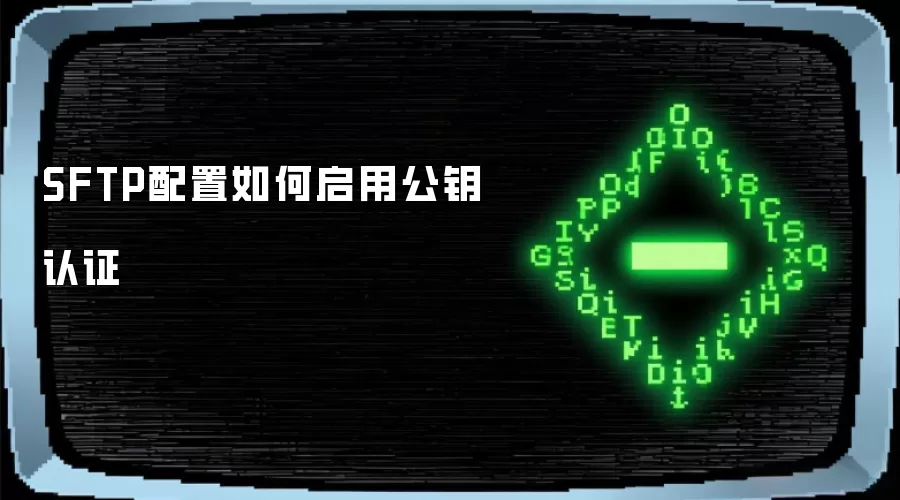 SFTP配置如何启用公钥认证