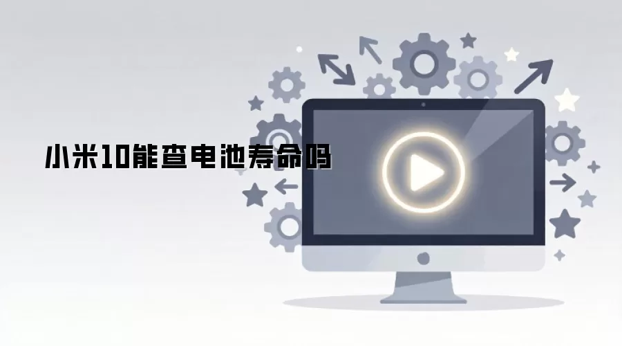小米10能查电池寿命吗