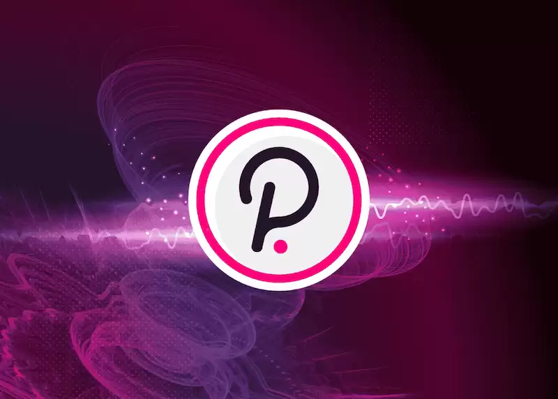 Polkadot（DOT）价值几何？新手能否借此分散风险？ - php中文网