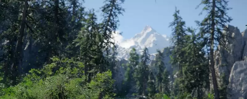 《红色沙漠》探索技巧分享