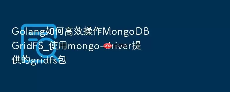 Golang如何高效操作MongoDB GridFS_使用mongo-driver提供的gridfs包