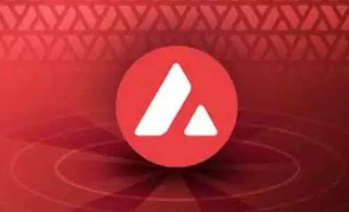 a valanche生态暴涨十倍：web3高性能公链的未来 - php中文网