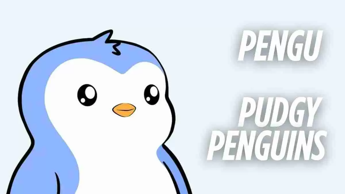 Pengu 爆炸：乘着增长与炒作的浪潮前行