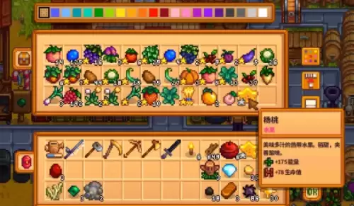 星露谷物语士兵的星星任务1