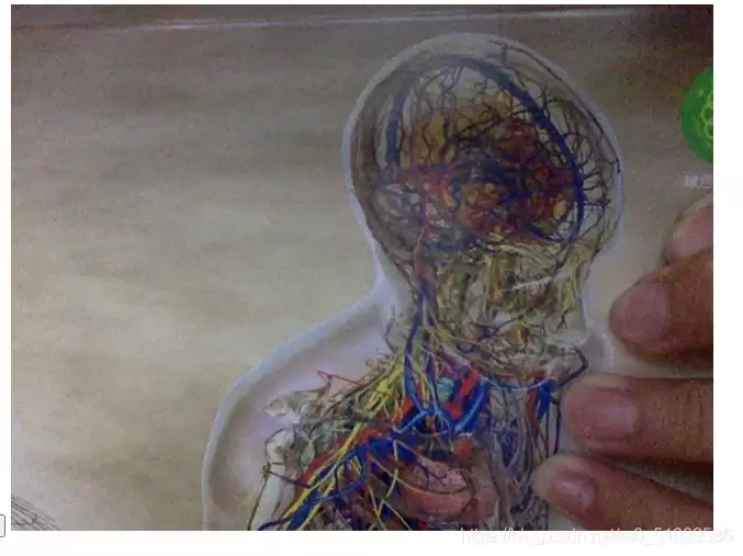 在HTML里加载摄像头的方法