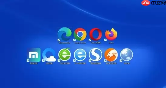 Google Chrome浏览器手机端官网-Google Chrome浏览器pc版2026访问链接